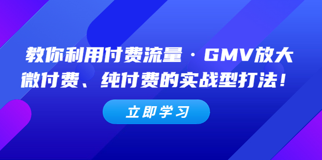 （5106期）教你利用付费流量·GMV放大，微付费、纯付费的实战型打法！九峰网创-分享创业资讯-最新网络创业项目-分享最新赚钱项目九峰网创