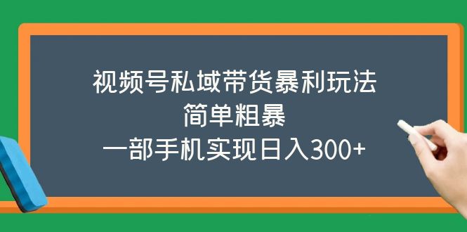 （5544期）视频号私域带货暴利玩法，简单粗暴，一部手机实现日入300+九峰网创-分享创业资讯-最新网络创业项目-分享最新赚钱项目九峰网创