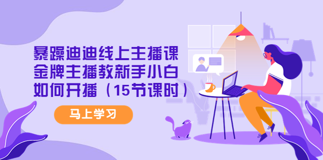 （4203期）暴躁迪迪线上主播课，金牌主播教新手小白如何开播（15节课时）九峰网创-分享创业资讯-最新网络创业项目-分享最新赚钱项目九峰网创