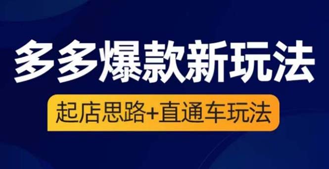 （6028期）2023拼多多爆款·新玩法：起店思路+直通车玩法（3节精华课）九峰网创-分享创业资讯-最新网络创业项目-分享最新赚钱项目九峰网创