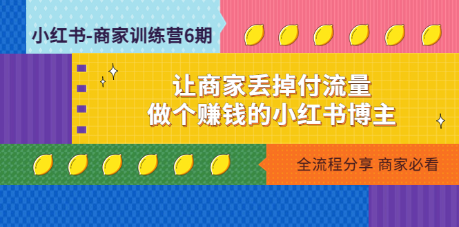 （4782期）小红书-商家训练营12期：让商家丢掉付流量，做个赚钱的小红书博主九峰网创-分享创业资讯-最新网络创业项目-分享最新赚钱项目九峰网创