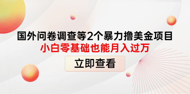 （4062期）国外问卷调查等2个暴力撸美金项目，小白零基础也能月入过万九峰网创-分享创业资讯-最新网络创业项目-分享最新赚钱项目九峰网创