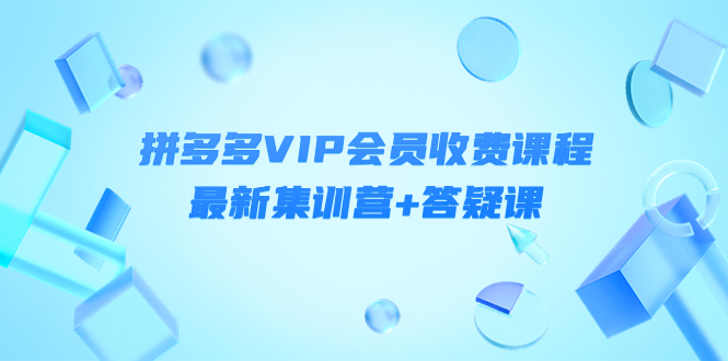 （4127期）某社群·拼多多VIP会员收费课程，最新集训营+答疑课-价值3299元九峰网创-分享创业资讯-最新网络创业项目-分享最新赚钱项目九峰网创