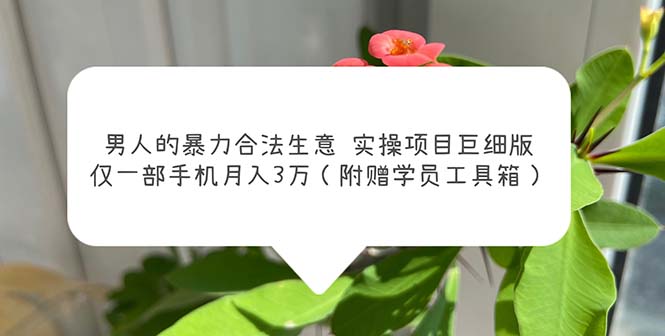 （5962期）男人的暴力合法生意实操项目巨细版：仅一部手机月入3w（附赠学员工具箱）九峰网创-分享创业资讯-最新网络创业项目-分享最新赚钱项目九峰网创
