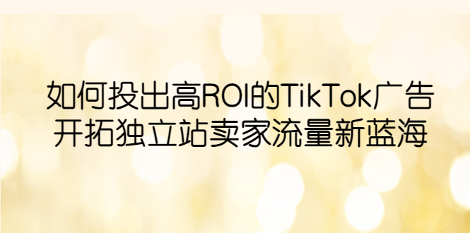 （6102期）如何投出高ROI·TikTok广告，开拓独立站卖家流量新蓝海九峰网创-分享创业资讯-最新网络创业项目-分享最新赚钱项目九峰网创