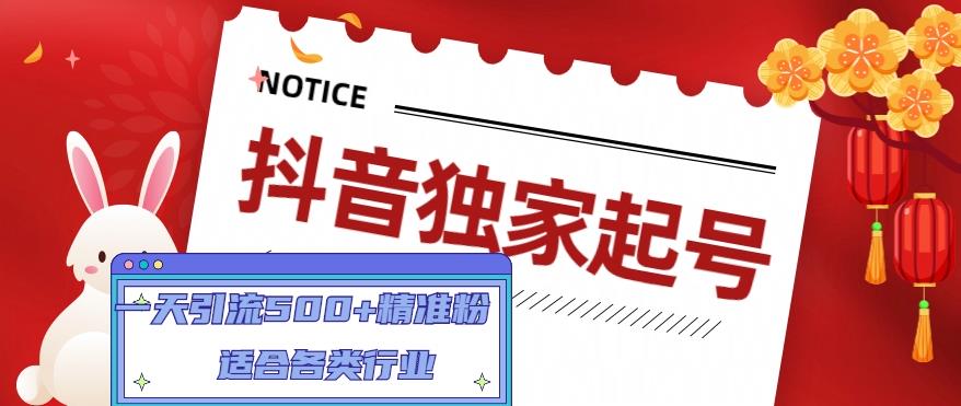 （4906期）抖音独家起号，一天引流500+精准粉，适合各类行业（9节视频课）九峰网创-分享创业资讯-最新网络创业项目-分享最新赚钱项目九峰网创