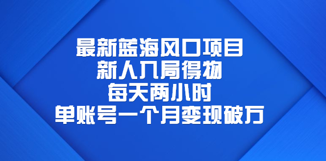 （6514期）最新蓝海风口项目，新人入局得物，每天两小时，单账号一个月变现破万九峰网创-分享创业资讯-最新网络创业项目-分享最新赚钱项目九峰网创