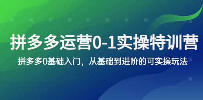 （5747期）拼多多-运营0-1实操训练营，拼多多0基础入门，从基础到进阶的可实操玩法九峰网创-分享创业资讯-最新网络创业项目-分享最新赚钱项目九峰网创