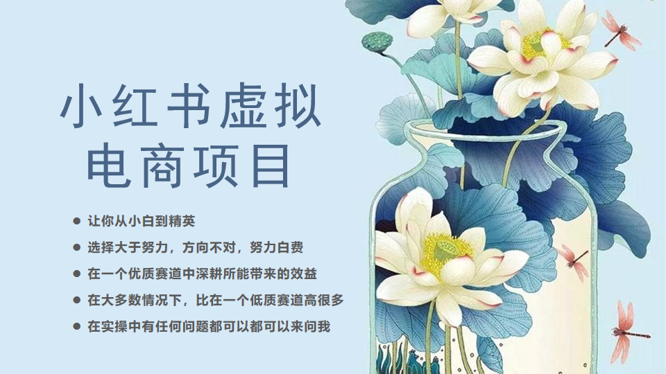 （6607期）小红书虚拟电商从0到1，让你从小白到精英（20节实操课程）九峰网创-分享创业资讯-最新网络创业项目-分享最新赚钱项目九峰网创