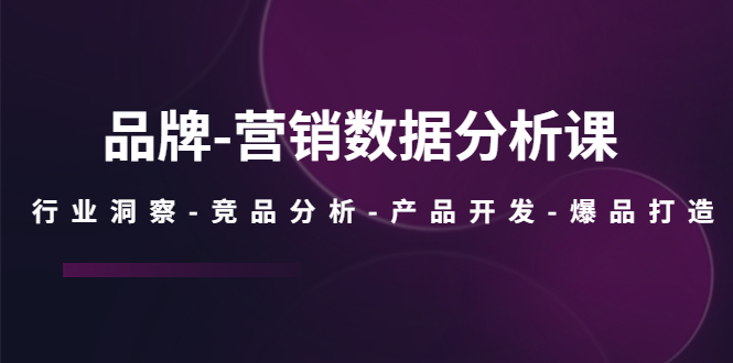 （5565期）品牌-营销数据分析课，行业洞察-竞品分析-产品开发-爆品打造九峰网创-分享创业资讯-最新网络创业项目-分享最新赚钱项目九峰网创