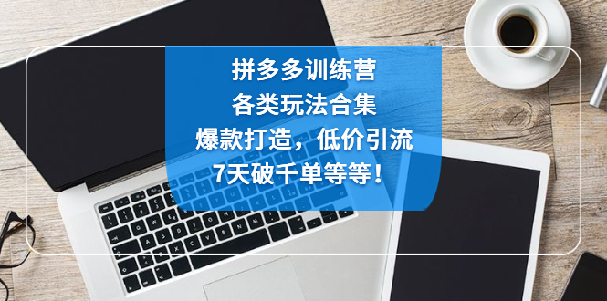 （4693期）拼多多训练营：各玩法合集，爆款打造，低价引流，7天破千单等等！九峰网创-分享创业资讯-最新网络创业项目-分享最新赚钱项目九峰网创