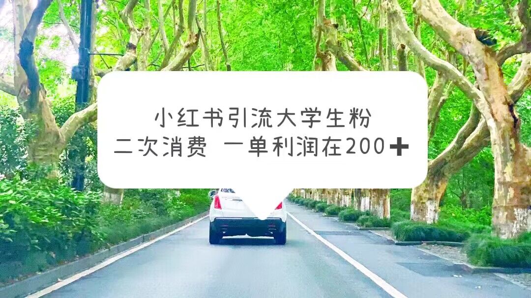 （5914期）小红书引流大学生粉，变现项目，一单利润在200+（教程+资源）九峰网创-分享创业资讯-最新网络创业项目-分享最新赚钱项目九峰网创