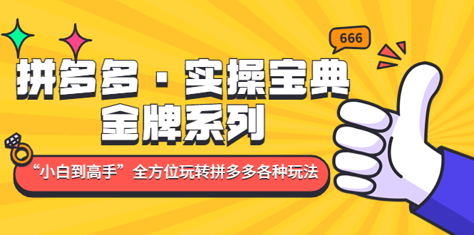 （4934期）拼多多·实操宝典：金牌系列“小白到高手”带你全方位玩转拼多多各种玩法九峰网创-分享创业资讯-最新网络创业项目-分享最新赚钱项目九峰网创
