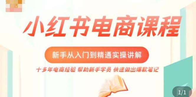 （5049期）小红书电商新手入门到精通实操课，从入门到精通做爆款笔记，开店运营九峰网创-分享创业资讯-最新网络创业项目-分享最新赚钱项目九峰网创