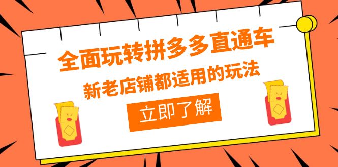 （6294期）全面玩转拼多多直通车，新老店铺都适用的玩法（12节精华课）九峰网创-分享创业资讯-最新网络创业项目-分享最新赚钱项目九峰网创