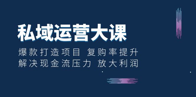 （6455期）私域运营大课：爆款打造项目 复购率提升 解决现金流压力 放大利润九峰网创-分享创业资讯-最新网络创业项目-分享最新赚钱项目九峰网创
