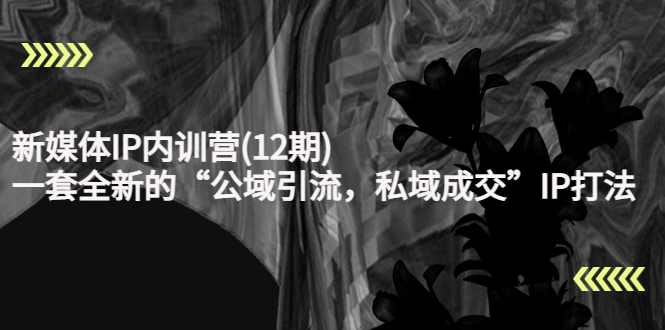 （4103期）新媒体IP内训营(12期)，一套全新的“公域引流，私域成交”IP打法，直接带走九峰网创-分享创业资讯-最新网络创业项目-分享最新赚钱项目九峰网创