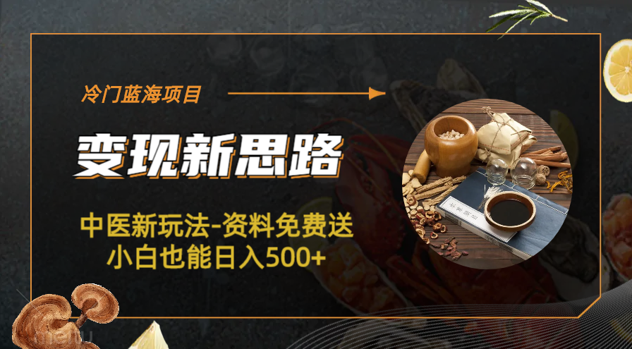 （6452期）冷门蓝海项目-中医新玩法-资料免费送小白也能日入500+九峰网创-分享创业资讯-最新网络创业项目-分享最新赚钱项目九峰网创