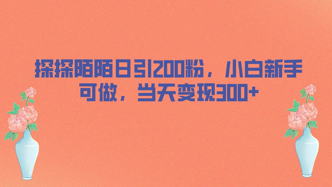 （6817期）探探陌陌日引200粉，小白新手可做，当天就能变现300+九峰网创-分享创业资讯-最新网络创业项目-分享最新赚钱项目九峰网创