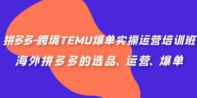 （6934期）拼多多-跨境TEMU爆单实操运营培训班，海外拼多多的选品、运营、爆单九峰网创-分享创业资讯-最新网络创业项目-分享最新赚钱项目九峰网创