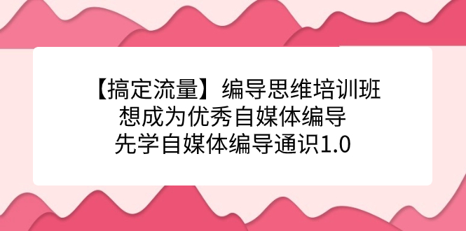 （7281期）【搞定流量】编导思维培训班，想成为优秀自媒体编导先学自媒体编导通识1.0九峰网创-分享创业资讯-最新网络创业项目-分享最新赚钱项目九峰网创