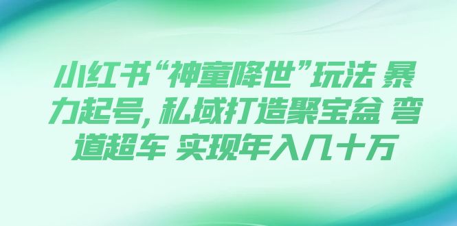 （7673期）小红书“神童降世”玩法 暴力起号,私域打造聚宝盆 弯道超车 实现年入几十万九峰网创-分享创业资讯-最新网络创业项目-分享最新赚钱项目九峰网创