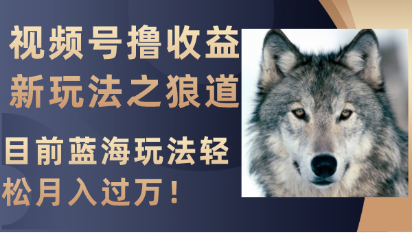 （8042期）视频号撸收益新玩法之狼道，目前蓝海玩法轻松月入过万！九峰网创-分享创业资讯-最新网络创业项目-分享最新赚钱项目九峰网创