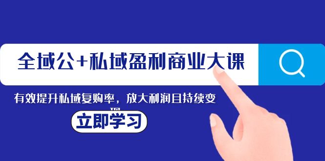 （8045期）全域公+私域盈利商业大课，有效提升私域复购率，放大利润且持续变现九峰网创-分享创业资讯-最新网络创业项目-分享最新赚钱项目九峰网创