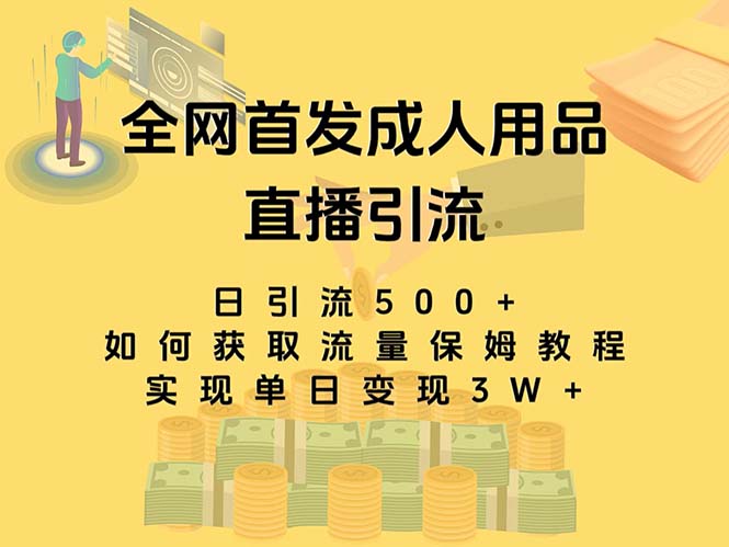 （8193期）最新全网独创首发，成人用品直播引流获客暴力玩法，单日变现3w保姆级教程九峰网创-分享创业资讯-最新网络创业项目-分享最新赚钱项目九峰网创