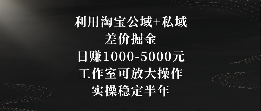 （8952期）利用淘宝公域+私域差价掘金，日赚1000-5000元，工作室可放大操作，实操…九峰网创-分享创业资讯-最新网络创业项目-分享最新赚钱项目九峰网创