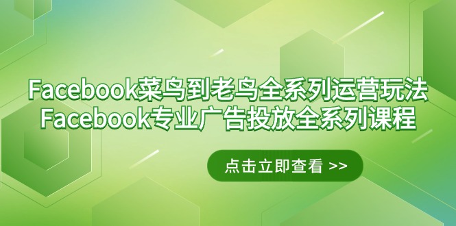 （9064期）Facebook-菜鸟到老鸟全系列运营玩法+Facebook-专业广告投放全系列课程九峰网创-分享创业资讯-最新网络创业项目-分享最新赚钱项目九峰网创