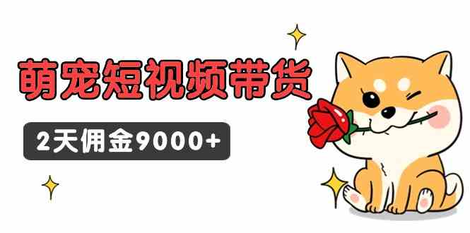（9273期）东哲日记·萌宠短视频带货，2天佣金9000+九峰网创-分享创业资讯-最新网络创业项目-分享最新赚钱项目九峰网创