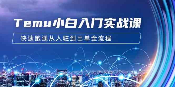 （9295期）Temu小白入门实战课：跨境拼多多电商培训 快速跑通从入驻到出单全流程-12节九峰网创-分享创业资讯-最新网络创业项目-分享最新赚钱项目九峰网创