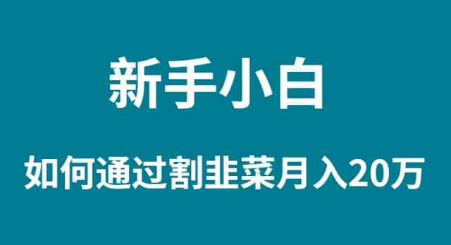 （9308期）新手小白如何通过割韭菜月入 20W九峰网创-分享创业资讯-最新网络创业项目-分享最新赚钱项目九峰网创