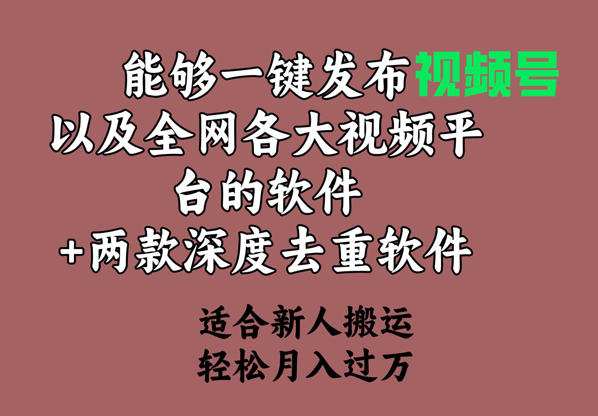（9319期）能够一键发布视频号以及全网各大视频平台的软件+两款深度去重软件 适合…九峰网创-分享创业资讯-最新网络创业项目-分享最新赚钱项目九峰网创