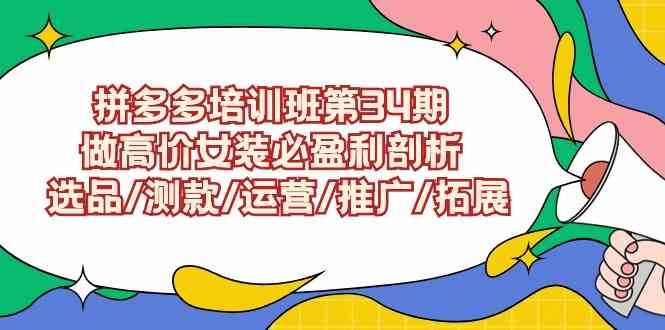 （9333期）拼多多培训班第34期：做高价女装必盈利剖析  选品/测款/运营/推广/拓展九峰网创-分享创业资讯-最新网络创业项目-分享最新赚钱项目九峰网创
