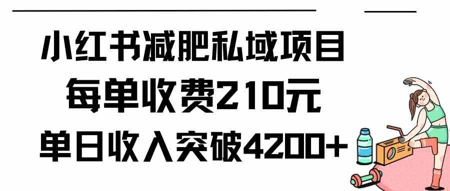 （9466期）小红书减肥私域项目每单收费210元单日成交20单，最高日入4200+九峰网创-分享创业资讯-最新网络创业项目-分享最新赚钱项目九峰网创