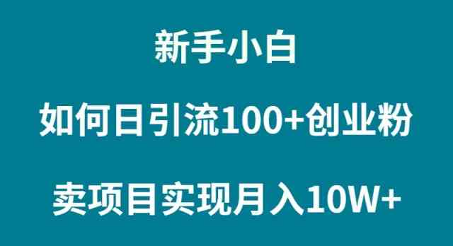 （9556期）新手小白如何通过卖项目实现月入10W+九峰网创-分享创业资讯-最新网络创业项目-分享最新赚钱项目九峰网创