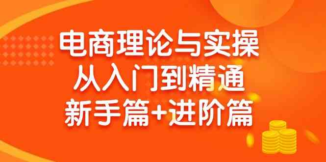 （9576期）电商理论与实操从入门到精通 新手篇+进阶篇九峰网创-分享创业资讯-最新网络创业项目-分享最新赚钱项目九峰网创