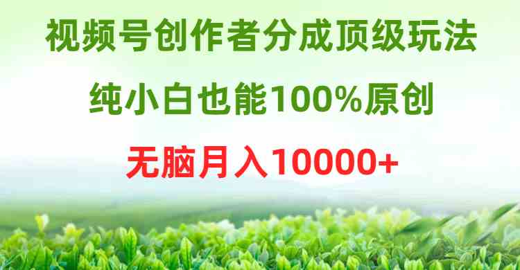 （9608期）视频号创作者分成顶级玩法，纯小白也能100%原创，无脑月入10000+九峰网创-分享创业资讯-最新网络创业项目-分享最新赚钱项目九峰网创