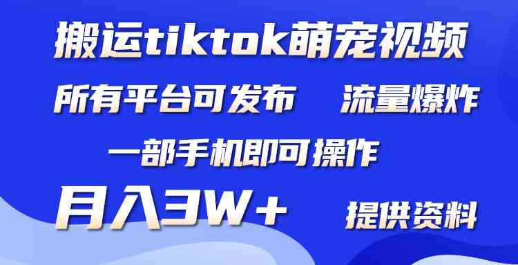 （9618期）搬运Tiktok萌宠类视频，一部手机即可。所有短视频平台均可操作，月入3W+九峰网创-分享创业资讯-最新网络创业项目-分享最新赚钱项目九峰网创