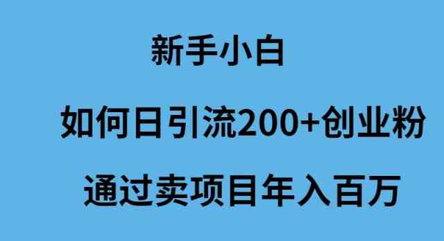 （9668期）新手小白如何日引流200+创业粉通过卖项目年入百万九峰网创-分享创业资讯-最新网络创业项目-分享最新赚钱项目九峰网创