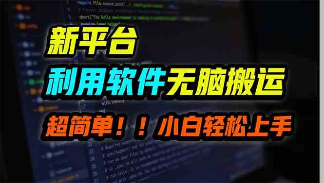 （9745期）新平台用软件无脑搬运，月赚10000+，小白也能轻松上手九峰网创-分享创业资讯-最新网络创业项目-分享最新赚钱项目九峰网创