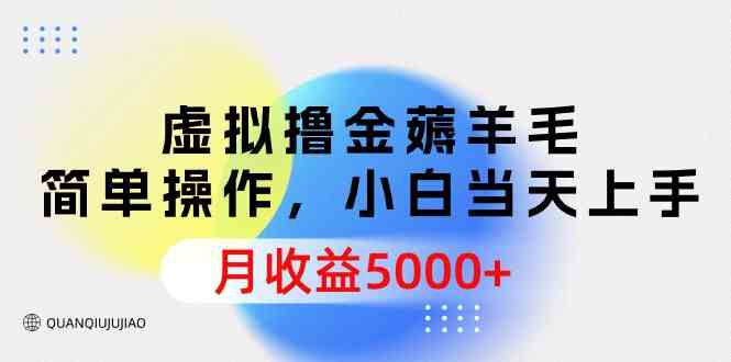 （9864期）虚拟撸金薅羊毛，简单操作，小白当天上手，月收益5000+九峰网创-分享创业资讯-最新网络创业项目-分享最新赚钱项目九峰网创
