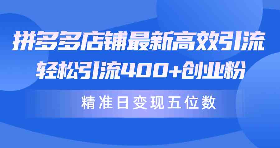 （10041期）拼多多店铺最新高效引流术，轻松引流400+创业粉，精准日变现五位数！九峰网创-分享创业资讯-最新网络创业项目-分享最新赚钱项目九峰网创