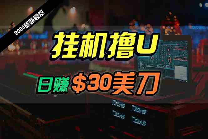 （10013期）日赚30美刀，2024最新海外挂机撸U内部项目，全程无人值守，可批量放大九峰网创-分享创业资讯-最新网络创业项目-分享最新赚钱项目九峰网创
