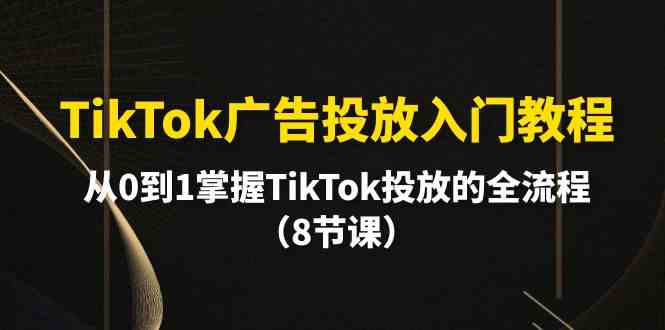 （10085期）TikTok广告投放入门教程，从0到1掌握TikTok投放的全流程（8节课）九峰网创-分享创业资讯-最新网络创业项目-分享最新赚钱项目九峰网创