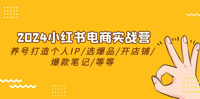 （10376期）2024小红书电商实战营，养号打造IP/选爆品/开店铺/爆款笔记/等等（24节）九峰网创-分享创业资讯-最新网络创业项目-分享最新赚钱项目九峰网创