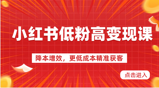 小红书低粉高变现课-降本增效，更低成本精准获客，小红书必爆的流量密码九峰网创-分享创业资讯-最新网络创业项目-分享最新赚钱项目九峰网创