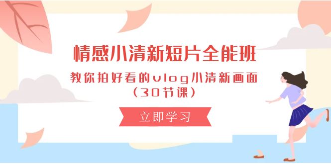 （10567期）情感 小清新短片-全能班，教你拍好看的vlog小清新画面 (30节课)九峰网创-分享创业资讯-最新网络创业项目-分享最新赚钱项目九峰网创